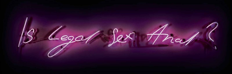 Anatomie de la sodomie