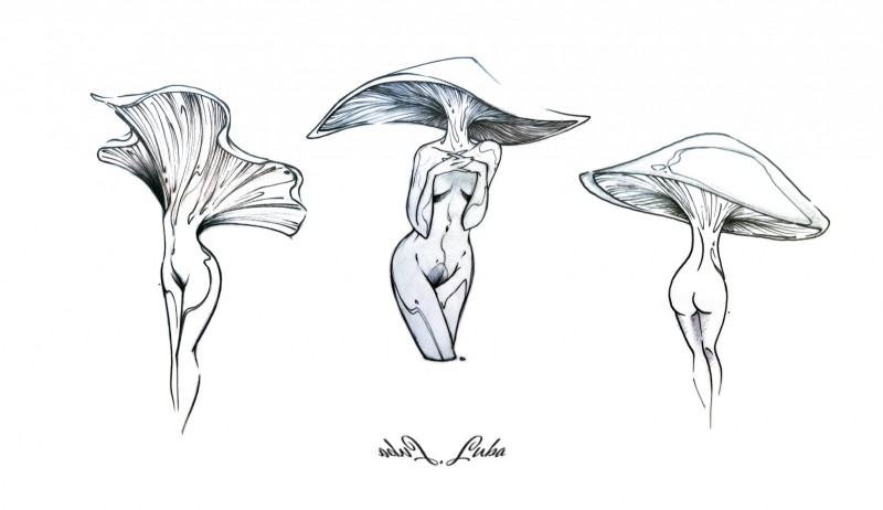 Luba... aux multiples talents